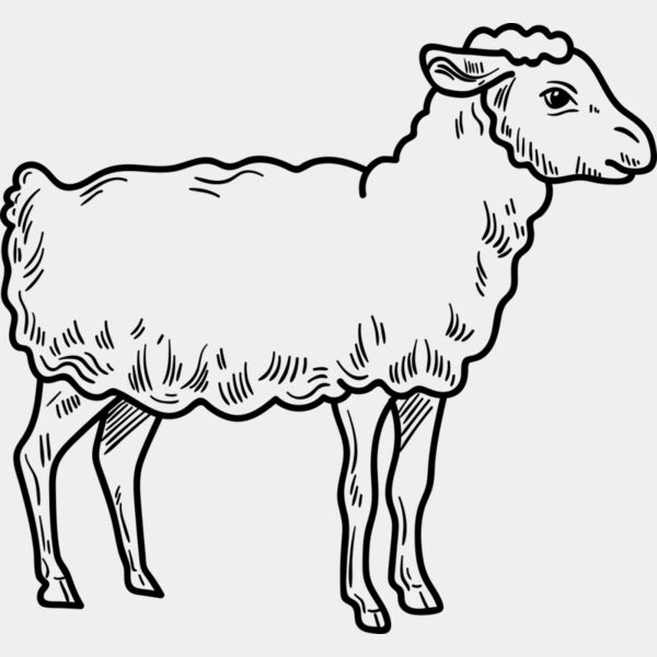 Lamb   Clipart 3 Thumbnail